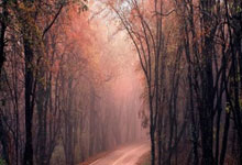 竞技宝官网：津媒：杜月徵若缺席国青队本月集训，落选亚洲杯名单并非不可能.