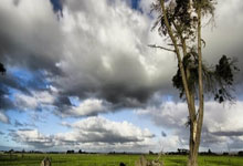 竞技宝官网：崛起！05后小将集体闪耀中超，伊万为何不再大胆一点？.