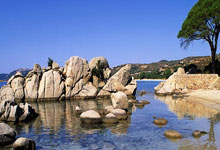 WTA1000迈阿密站第四轮 高芙0-2不敌里内特遭到淘汰.